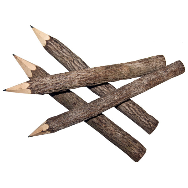Crayon bois écorce branche d'arbre avec encoche. Matériel scolaire original