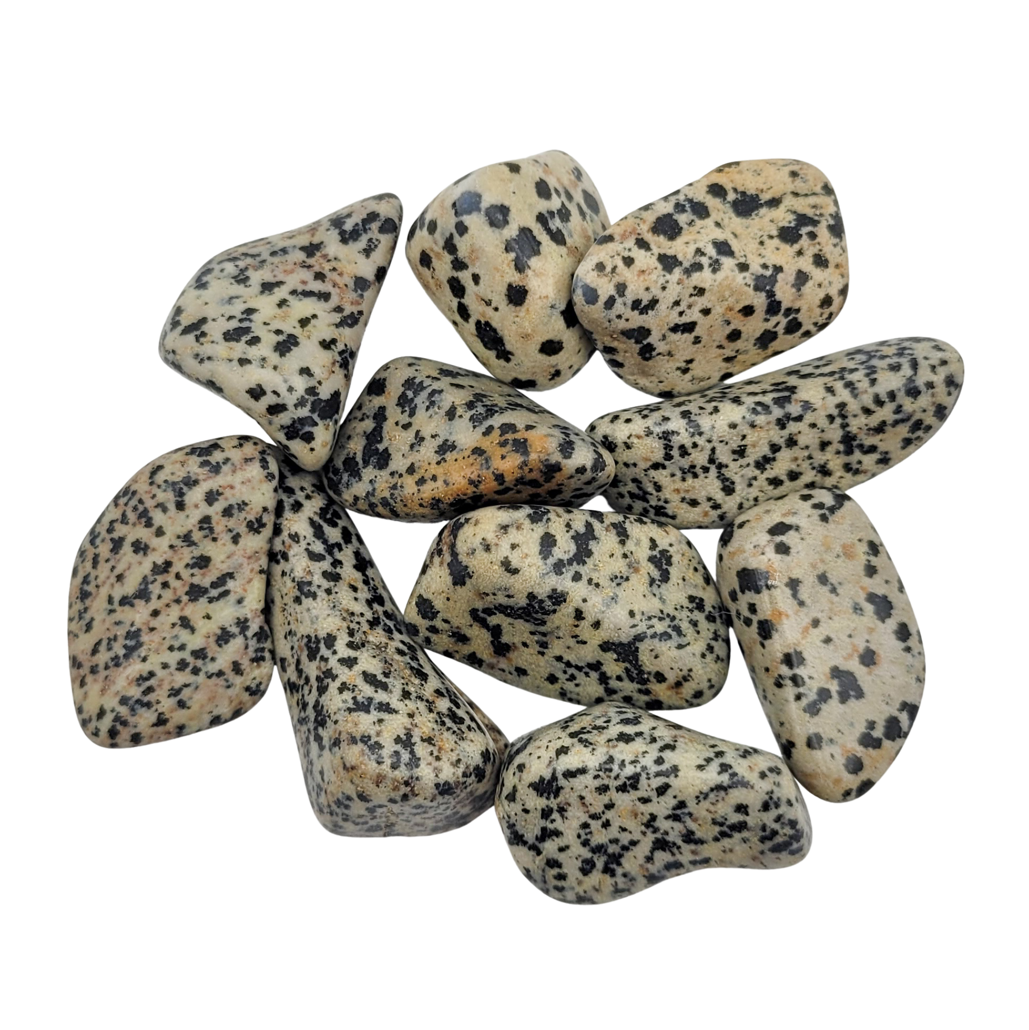 Jaspe Dalmatien - Pierre polie