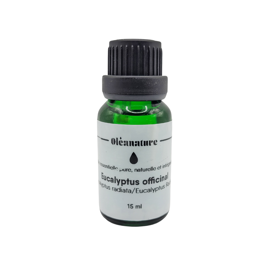 Huile Essentielle - Eucalyptus Officinal