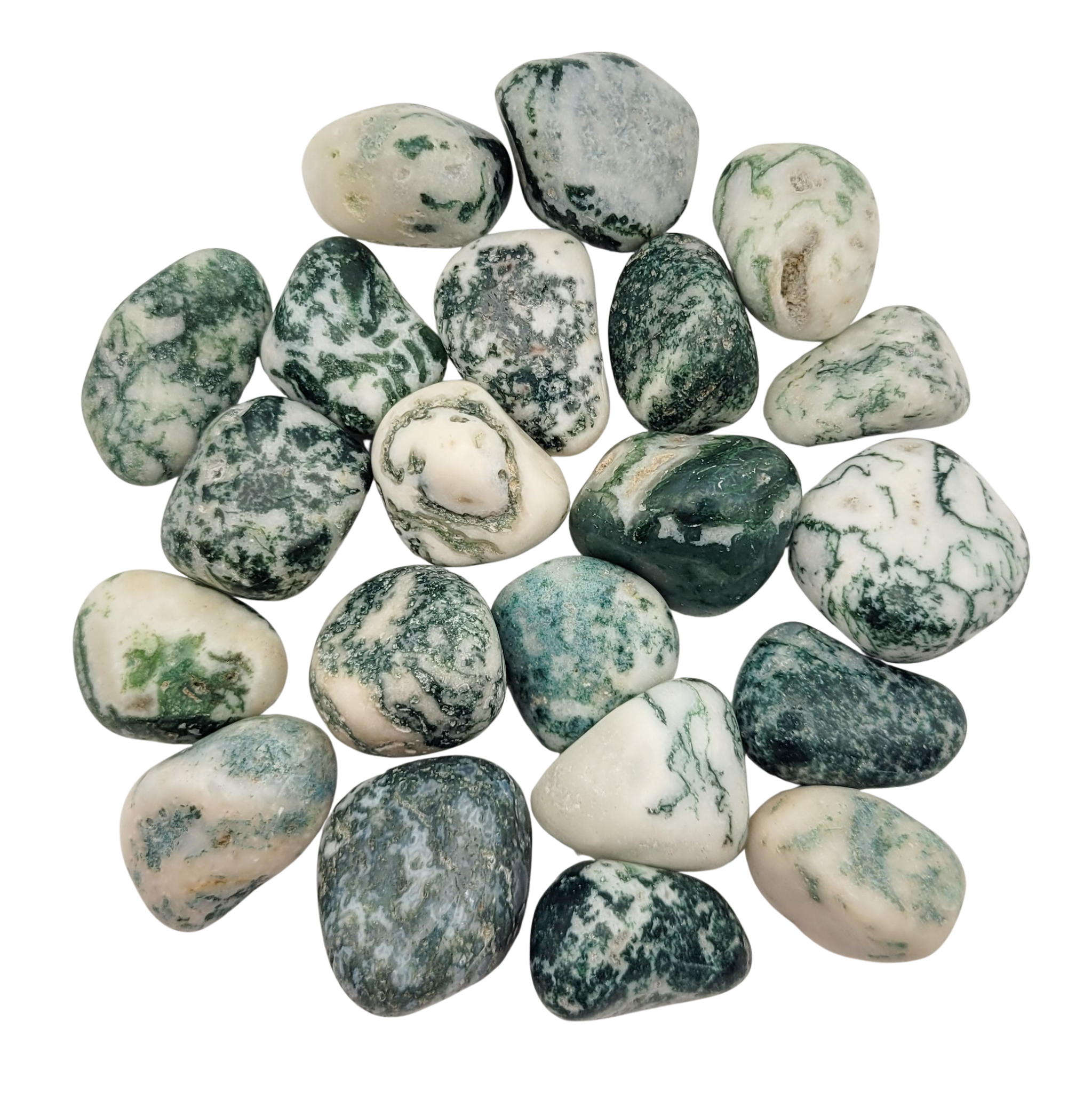 Agate Arbre - Pierre polie